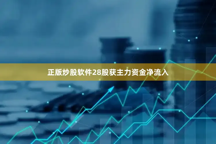 正版炒股软件28股获主力资金净流入